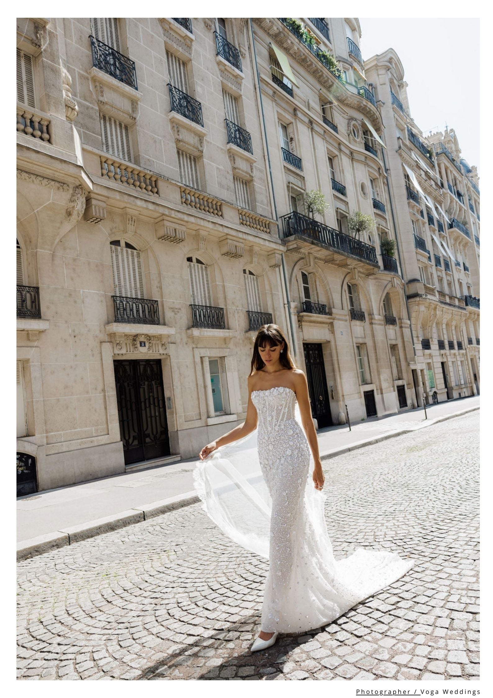 Long Statement lace wedding veil 