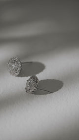 exquisite crystal detailed earrings silver